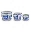 Set of 3 Blue & White Phoenix Round Ceramic Planters with Saucers