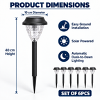 Solar Garden Path Lights – Set of 6
