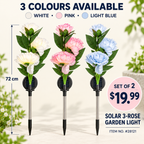 Set of 2 Solar 3-Head Peony Flower Garden Lights – 72cm