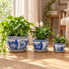 Set of 3 Blue & White Phoenix Round Ceramic Planters with Saucers